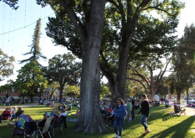 Park with green grass, trees, hanging lights, and people on lawn chairs
