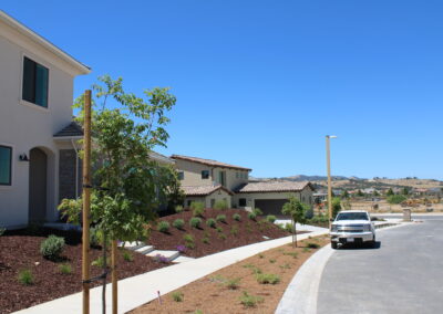 A residential street with a car parked by the curb, trees and plants on the sidewalk landscape, and various houses and yards